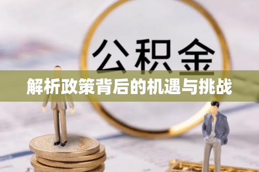 嘉义解析政策背后的机遇与挑战