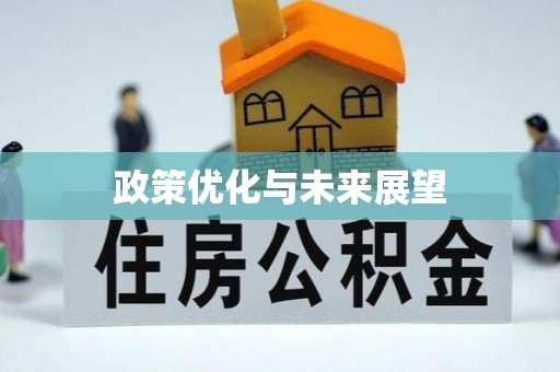 嘉义政策优化与未来展望