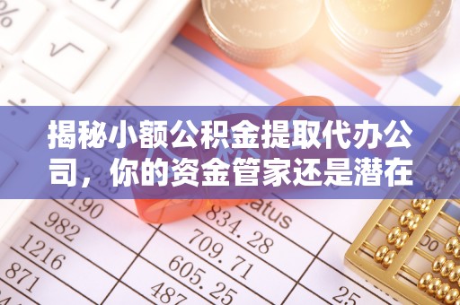 嘉义揭秘小额公积金提取代办公司，你的资金管家还是潜在风险？