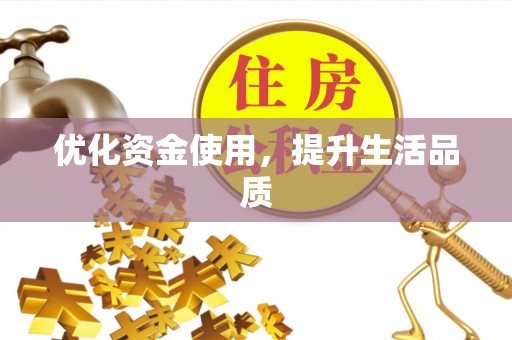 嘉义优化资金使用，提升生活品质