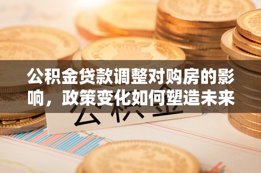 嘉义公积金贷款调整对购房的影响，政策变化如何塑造未来住房市场