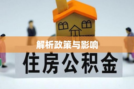 嘉义解析政策与影响