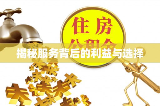 嘉义揭秘服务背后的利益与选择
