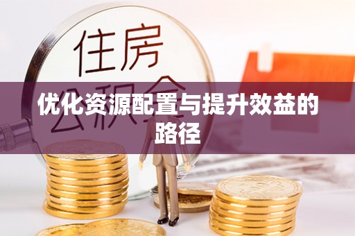 嘉义优化资源配置与提升效益的路径