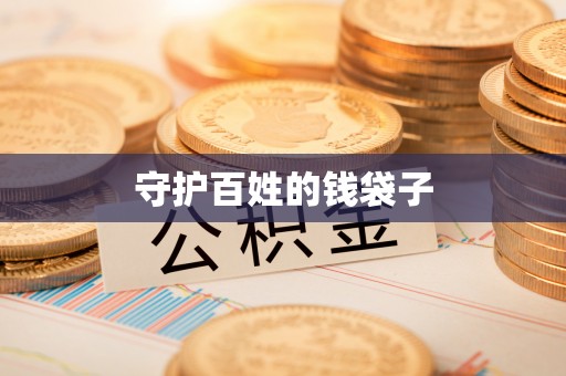嘉义守护百姓的钱袋子