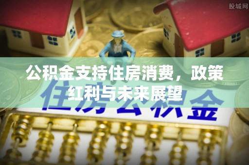 嘉义公积金支持住房消费，政策红利与未来展望