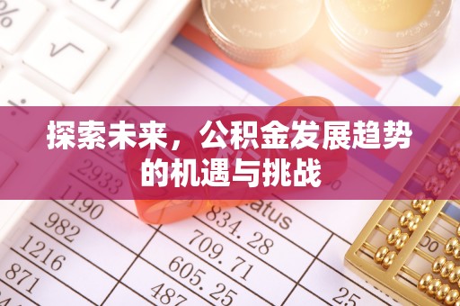 嘉义探索未来，公积金发展趋势的机遇与挑战