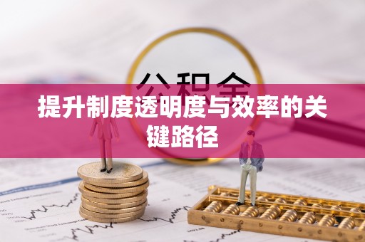 嘉义提升制度透明度与效率的关键路径